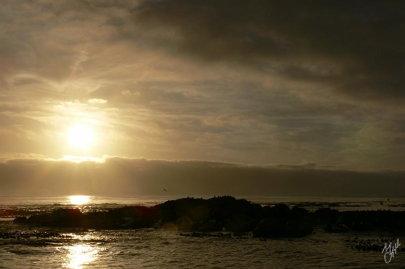P1040923.JPG - Coucher de soleil sur Houtbay l'île aux Phoques.