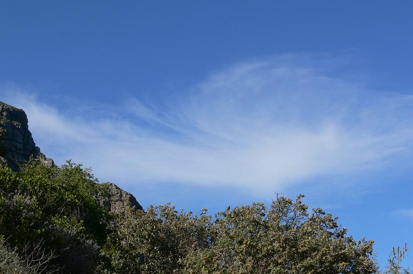 P1050083.JPG - Le nom de Cap de Bonne-Espérance (Cabo da Boa Esperança) a été donné par le roi Jean II du Portugal, parce que sa découverte en 1488 a ouvert une nouvelle route commerciale avec le « bon espoir » d'arriver bientôt aux Indes et en Asie.