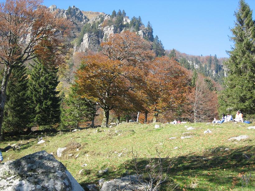 051015_sentierRoches_IMG_0875.JPG - Le sentier des Roches - Vosges, Oct.05