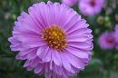 050904_Rchlg_Img_0383