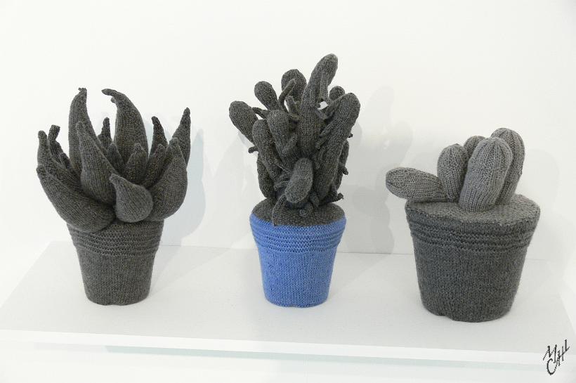 P1000562.JPG - De jolis cactus tricotés...(dans la GoMA)
