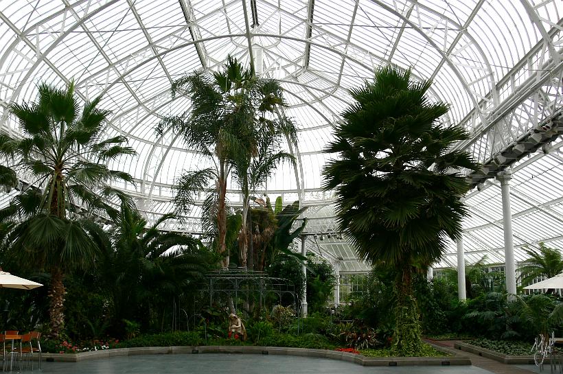 P1000645.JPG - People's palace abrite le musée de Glasgow avec un agréable salon de thé dans le jardin sous la serre.