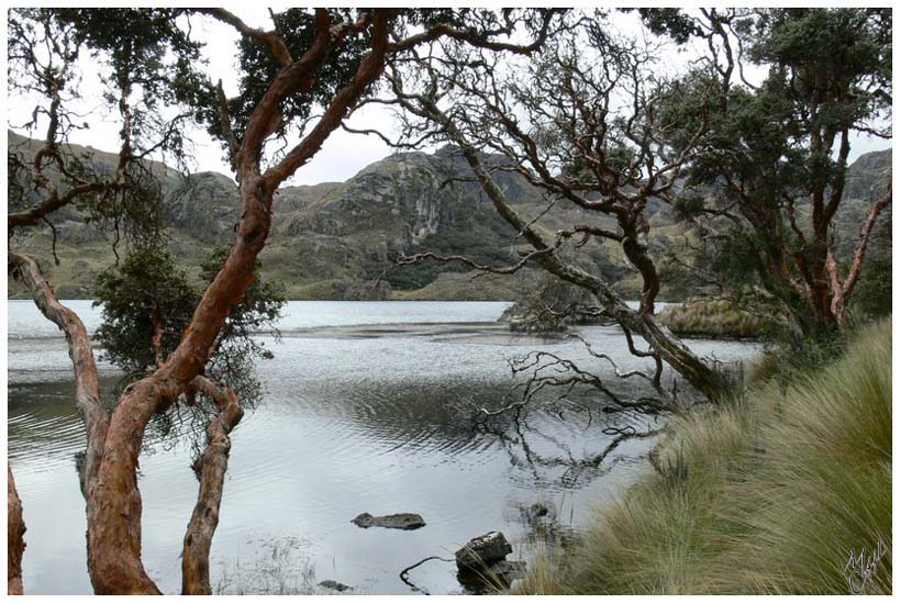 foto113.jpg - Parc National de Cajas. Les plans d'eau forment comme des petites boites (en espagnol : cajas) entre les montagnes, d’où le nom du Parc.