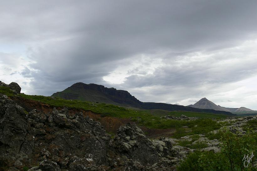 060730_Islande_Ouest_159.JPG - Même sans soleil, les couleurs en Islande sont très intenses, comme ici sur la côte ouest.