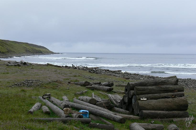 060801_Islande_BoisGreve_Nord_469.JPG - Du bois flotté sur la côte est. Les courants marins amènent ces arbres essentiellement de Sibérie. Le long séjour en eau salée les a rendus pratiquement imputrescibles. Ils ont longtemps été utilisés comme matériau de construction absent naturellement de l'île. La recherche et la récupération du bois flotté était un métier en Islande.