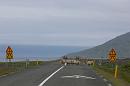 060802_Islande_Reydarfjordur_NE_570