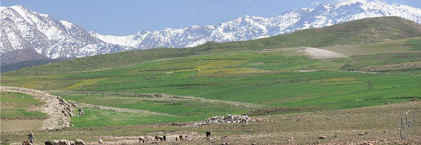 070228_0305_Maroc_Pano04.jpg - Le plateau du Kik et l'Atlas enneigé.