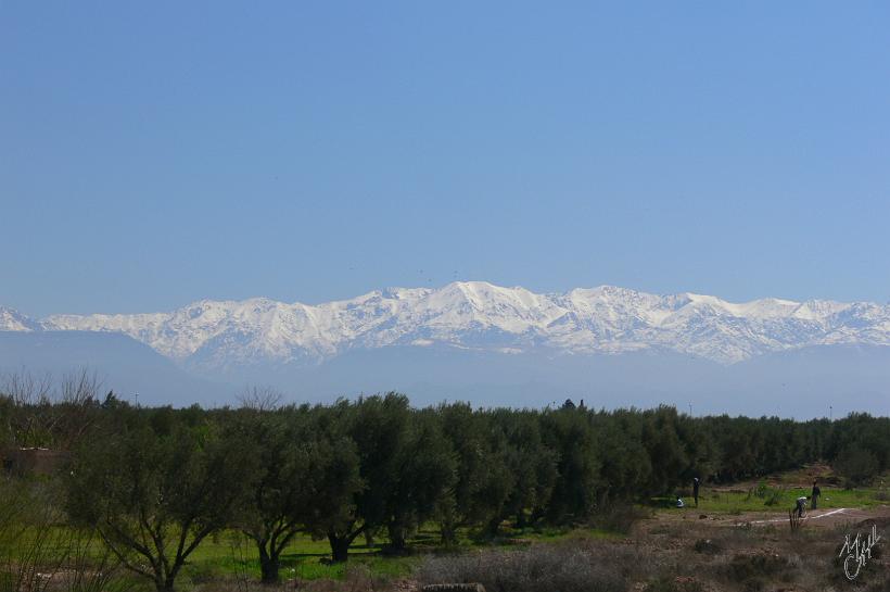 P1040116.JPG - Marrakech est une ville fondée en 1062. Elle se situe au pied des montagnes de l'Atlas.