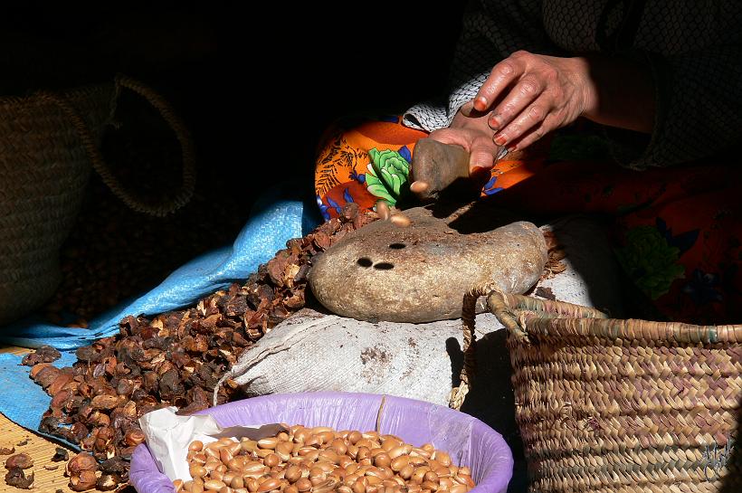 P1040282.JPG - L’arganier, est un arbre qui ne pousse qu'au Maroc. Il peut vivre de 150 à 200 ans et est très résistant à la sécheresse. L'huile d'argan est riche en Oméga-3, Oméga-6 et vitamine E.