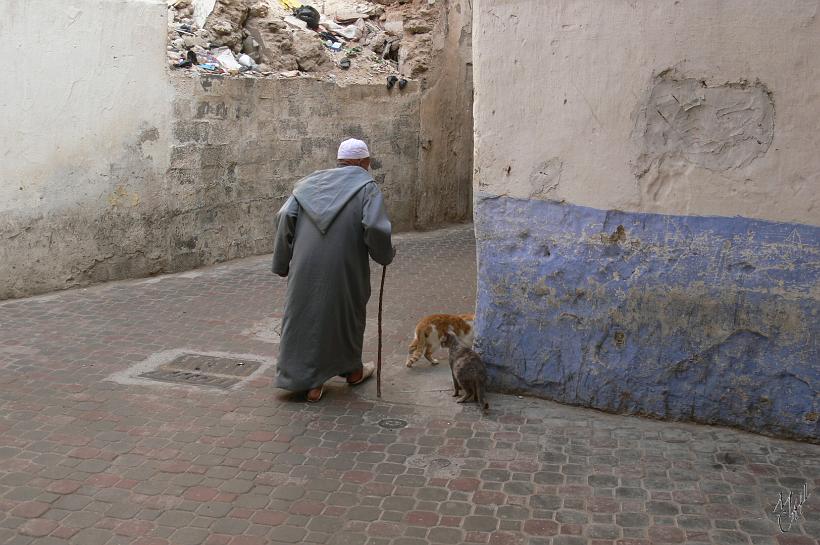 P1040335.JPG - Dans les petites ruelles de Essaouira.