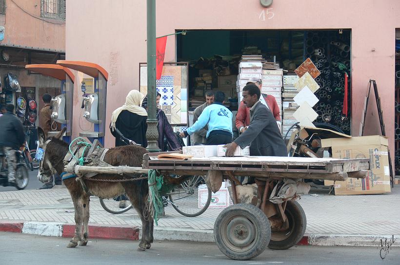 P1040473.JPG - Un moyen de transport efficace dans les ruelles étroites des souks.