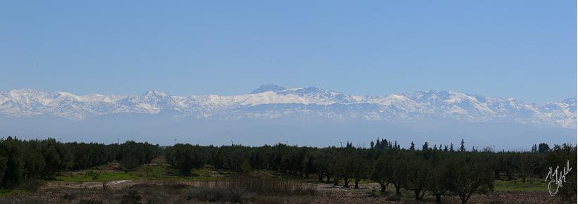 Pano01.jpg - L'Atlas vu de Marrakech