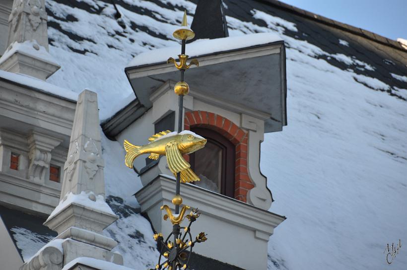 DSC_0916.JPG - Un détail des ferronneries décorant la maison des têtes noires.