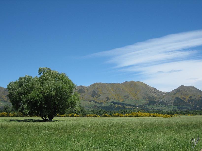 Kaikoura_Springs_20051120_0222.JPG