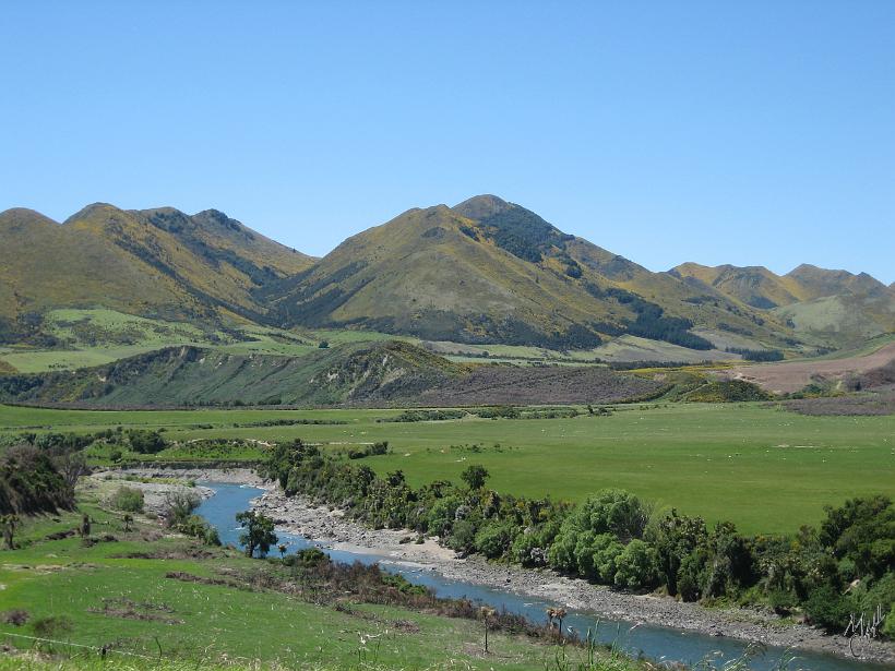 Kaikoura_Springs_20051120_0225.JPG - Entre Westport et Kaikoura