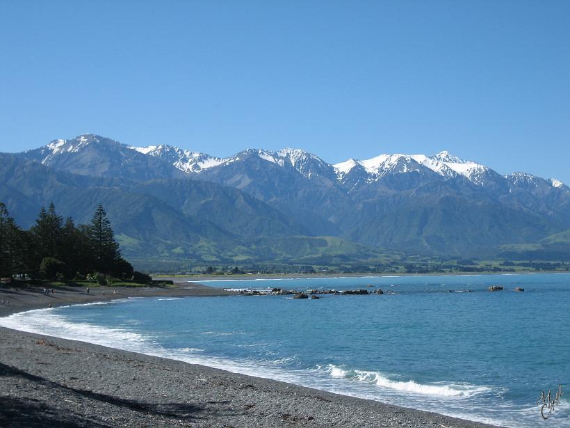 Kaikoura_Springs_20051120_0235.JPG - Kaikoura se situe sur la côte nord-est de l'île du sud.