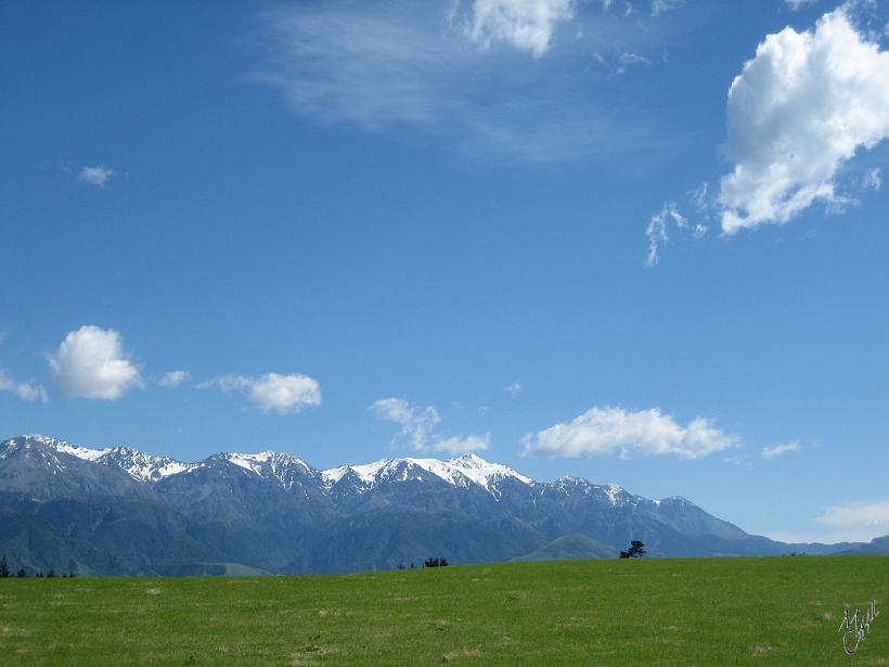 Kaikoura_Springs_20051120_0276.JPG - Les Alpes du sud affleurent la côte à Kaikoura