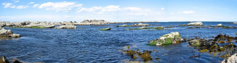 Pano_Kaikoura02.jpg - Kaikoura - côte nord-est de l'île du sud