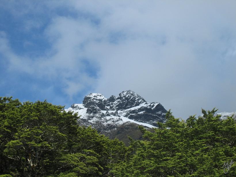 TeAnau_Milford_IMG_2342.JPG - Milford track