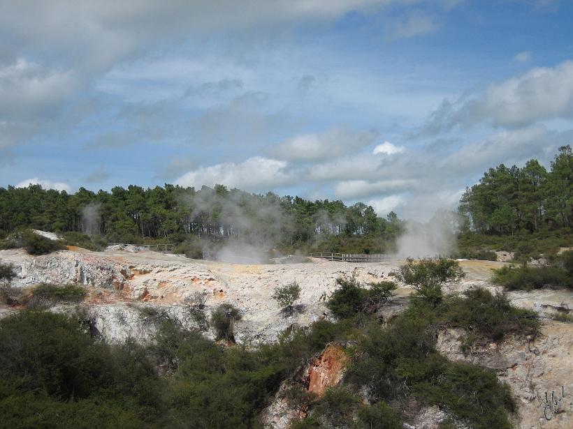 Wai_O_Tapu_IMG_1071.JPG - La plus grande piscine d'eau bouillonnante du parc à un diamètre de 60m et une profondeur de 60m. Elle est remplie d'eau à 74°C.