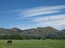 Kaikoura_Springs_20051120_0219