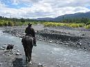 Kaikoura_Springs_20051122_0329