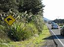 Tongariro_Crossing_IMG_1438