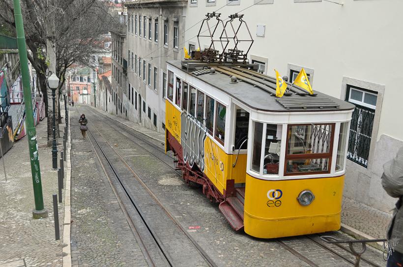 DSC_1645x.jpg - Le funiculaire de Calçada da Gloria qui rejoint la ville haute (Bairro Alto), près du Miradouro de Sao Pedro de Alcantara.