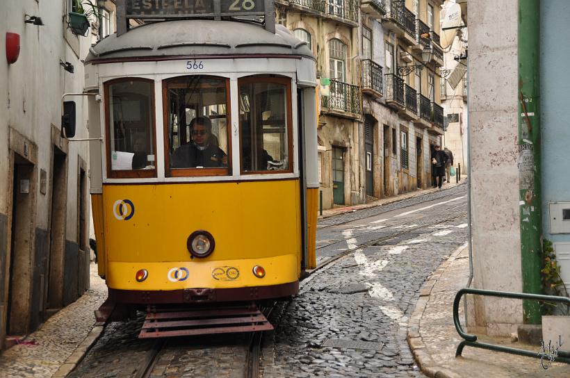 DSC_1998.JPG - L’Electrico n°28, le tramway le plus connu qui dessert les anciens quartiers.